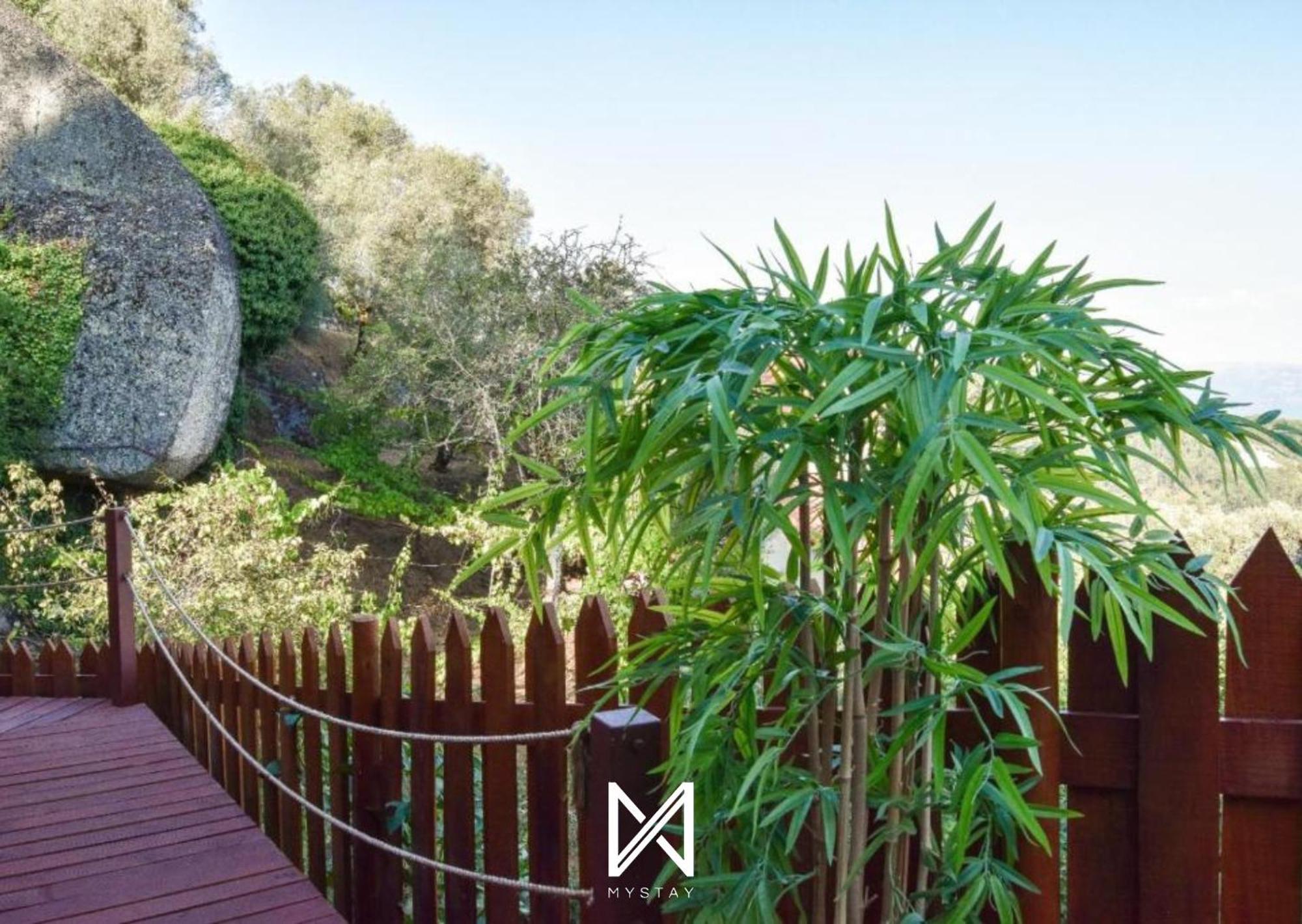 Mystay - Casa Das Oliveirinhas Bungalow By Refugio Ao Luar Celorico De Basto Bagian luar foto
